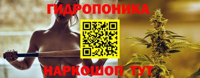 гашик Кинель