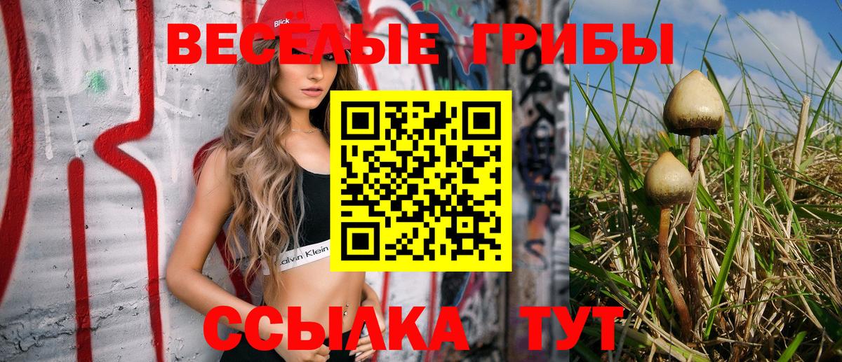 Галлюциногенные грибы мухоморы Кострома